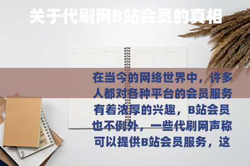 关于代刷网B站会员的真相
