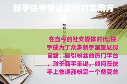 新手快手快速涨粉的实用方法