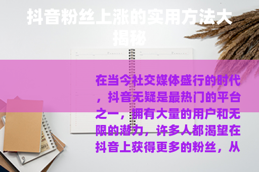 抖音粉丝上涨的实用方法大揭秘