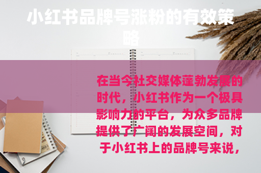 小红书品牌号涨粉的有效策略