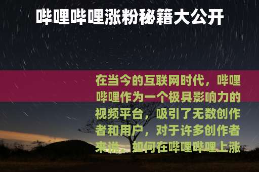 哔哩哔哩涨粉秘籍大公开