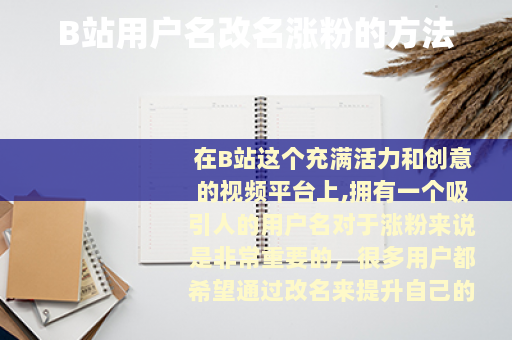 B站用户名改名涨粉的方法