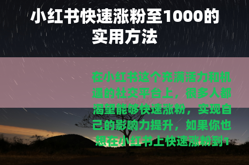 小红书快速涨粉至1000的实用方法