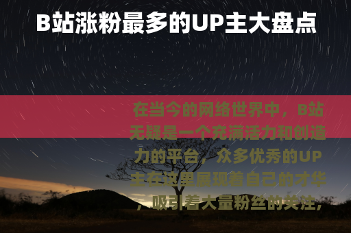 B站涨粉最多的UP主大盘点