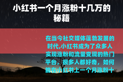 小红书一个月涨粉十几万的秘籍