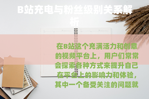 B站充电与粉丝级别关系解析