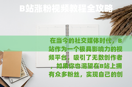 B站涨粉视频教程全攻略