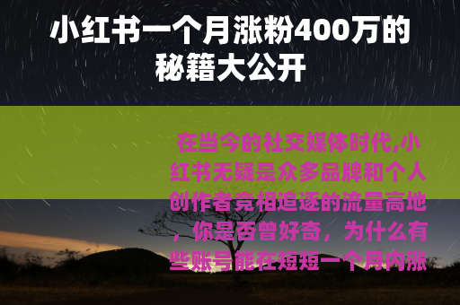 小红书一个月涨粉400万的秘籍大公开