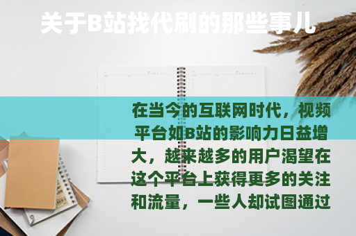 关于B站找代刷的那些事儿