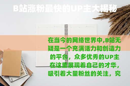 B站涨粉最快的UP主大揭秘