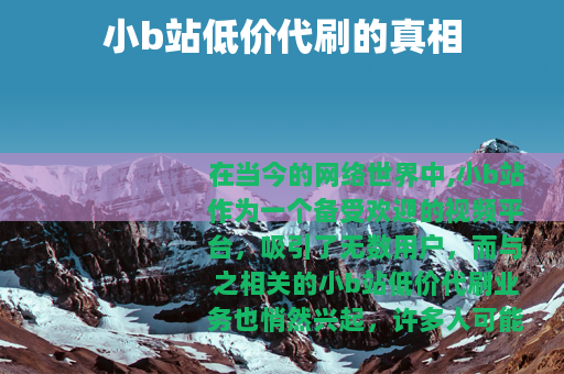 小b站低价代刷的真相