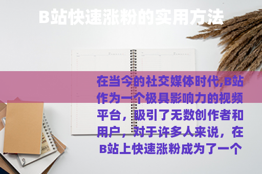 B站快速涨粉的实用方法
