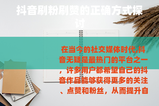 抖音刷粉刷赞的正确方式探讨