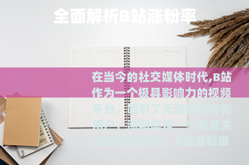 全面解析B站涨粉率