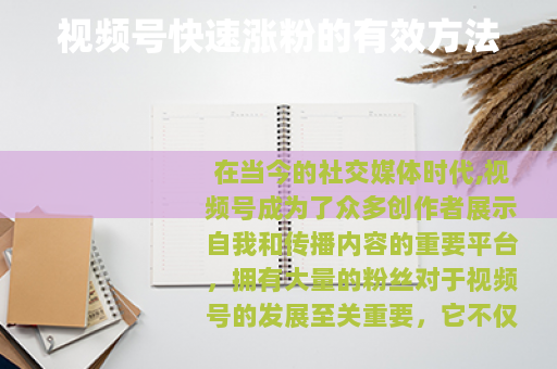 视频号快速涨粉的有效方法