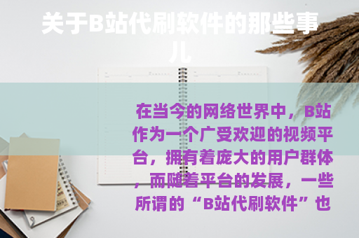 关于B站代刷软件的那些事儿