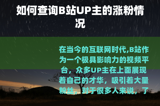 如何查询B站UP主的涨粉情况