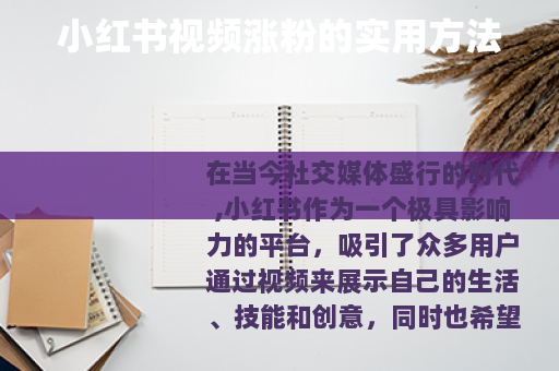 小红书视频涨粉的实用方法