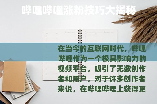 哔哩哔哩涨粉技巧大揭秘