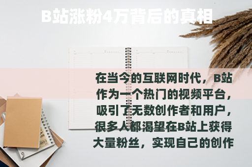 B站涨粉4万背后的真相