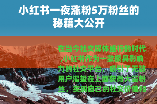 小红书一夜涨粉5万粉丝的秘籍大公开