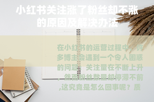 小红书关注涨了粉丝却不涨的原因及解决办法