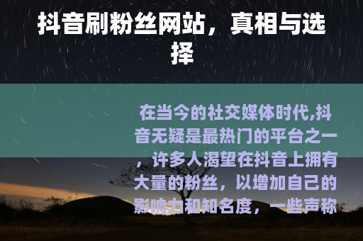抖音刷粉丝网站，真相与选择
