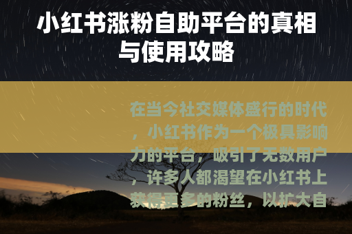 小红书涨粉自助平台的真相与使用攻略
