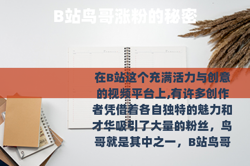 B站鸟哥涨粉的秘密