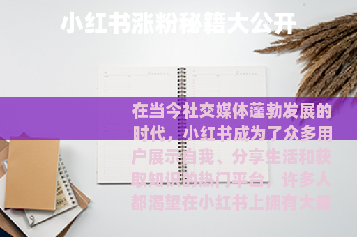 小红书涨粉秘籍大公开