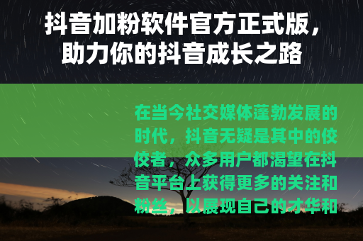 抖音加粉软件官方正式版，助力你的抖音成长之路