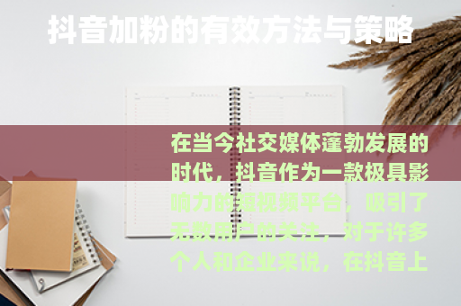 抖音加粉的有效方法与策略
