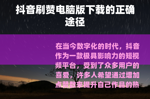 抖音刷赞电脑版下载的正确途径