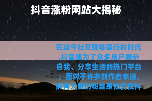 抖音涨粉网站大揭秘