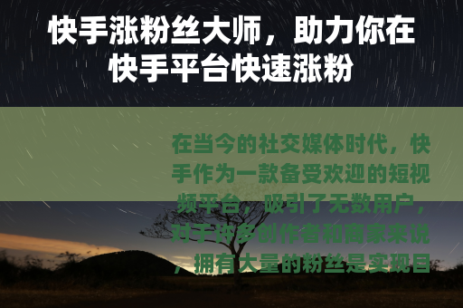 快手涨粉丝大师，助力你在快手平台快速涨粉