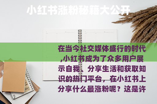 小红书涨粉秘籍大公开