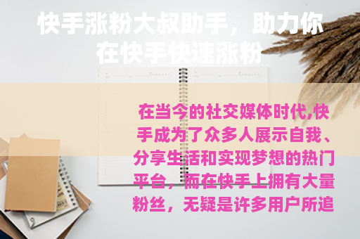 快手涨粉大叔助手，助力你在快手快速涨粉