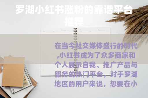 罗湖小红书涨粉的靠谱平台推荐