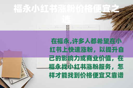 福永小红书涨粉价格便宜之选