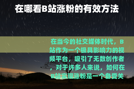 在哪看B站涨粉的有效方法