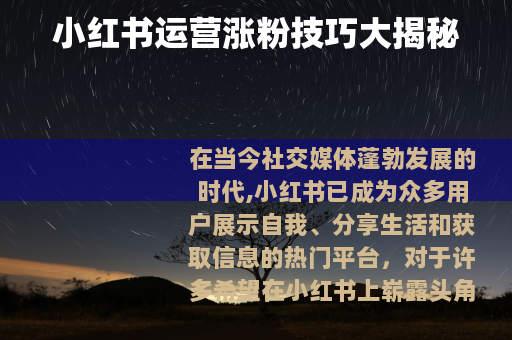 小红书运营涨粉技巧大揭秘