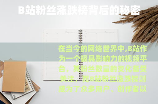 B站粉丝涨跌榜背后的秘密