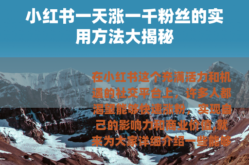 小红书一天涨一千粉丝的实用方法大揭秘