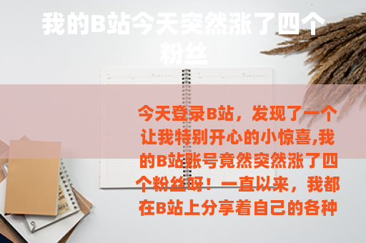 我的B站今天突然涨了四个粉丝