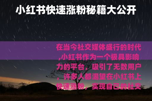 小红书快速涨粉秘籍大公开