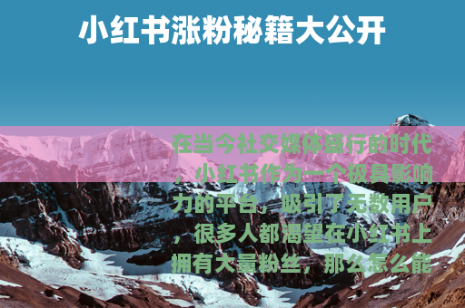 小红书涨粉秘籍大公开