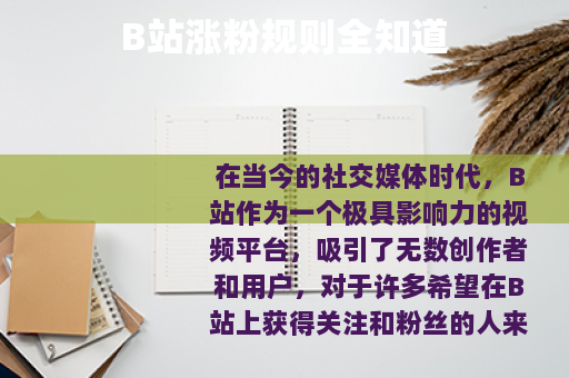 B站涨粉规则全知道
