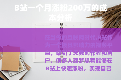 B站一个月涨粉200万的成本分析