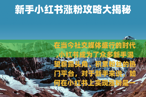 新手小红书涨粉攻略大揭秘