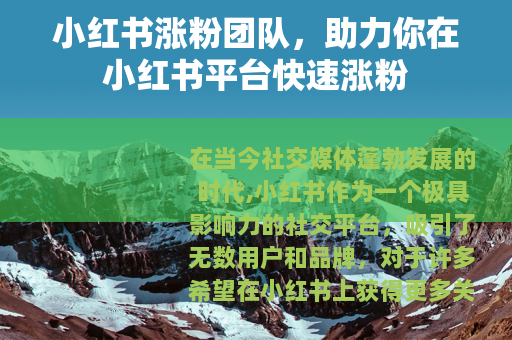 小红书涨粉团队，助力你在小红书平台快速涨粉
